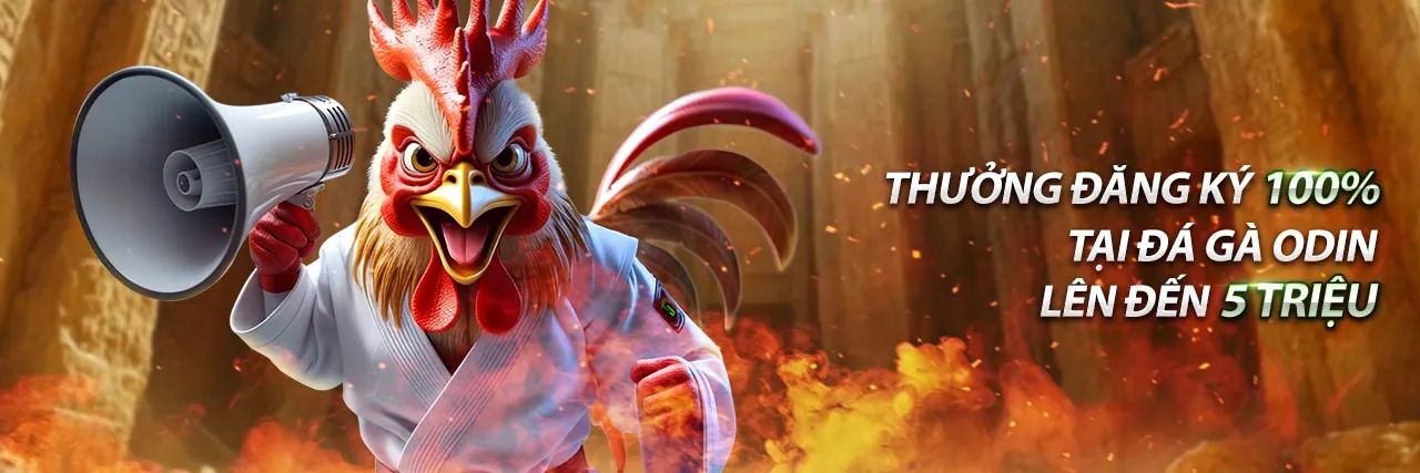 Hình ảnh hỗ trợ khách hàng Bồ 67 với nền màu vàng đỏ